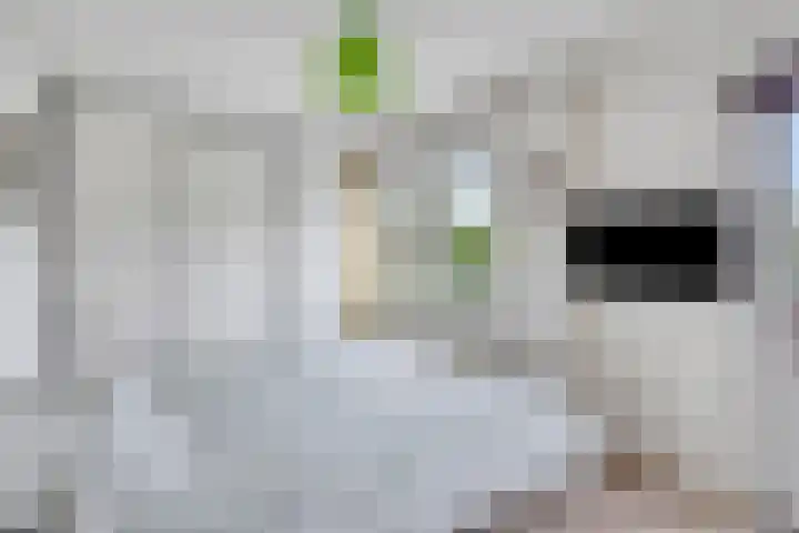 Holthuizerdreef 29 Huissen thumbnail 16