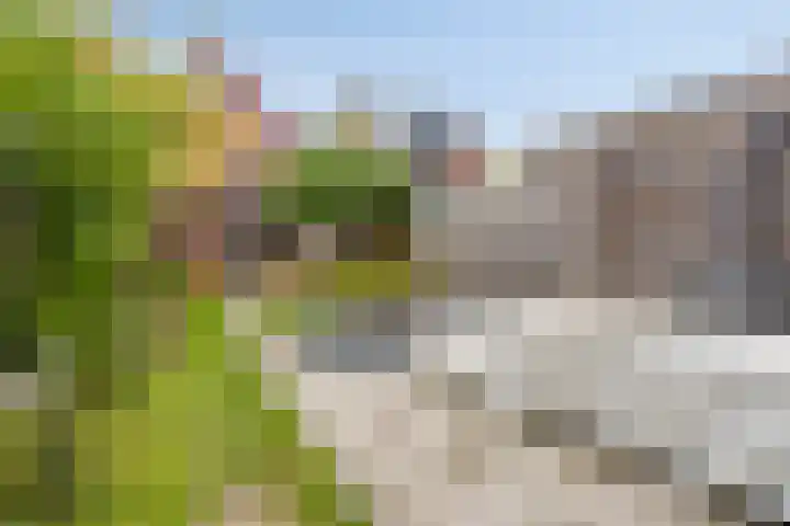Holthuizerdreef 29 Huissen thumbnail 33