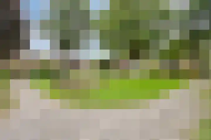 Holthuizerdreef 29 Huissen thumbnail 35