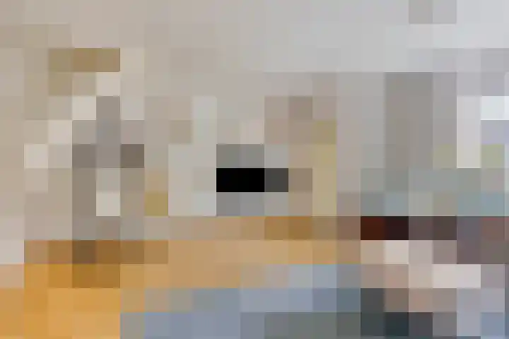 Holthuizerdreef 29 Huissen thumbnail 8