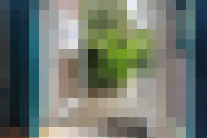 Holthuizerdreef 3 Huissen thumbnail 41