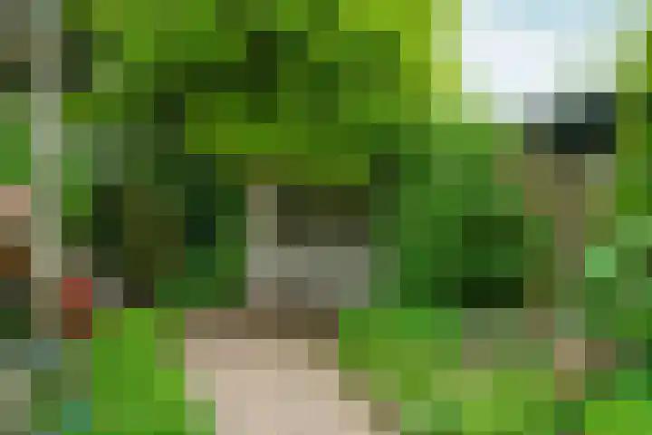 Holthuizerdreef 3 Huissen thumbnail 43