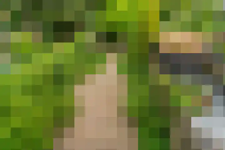 Holthuizerdreef 3 Huissen thumbnail 44