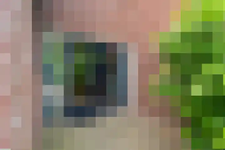 Holthuizerdreef 3 Huissen thumbnail 48