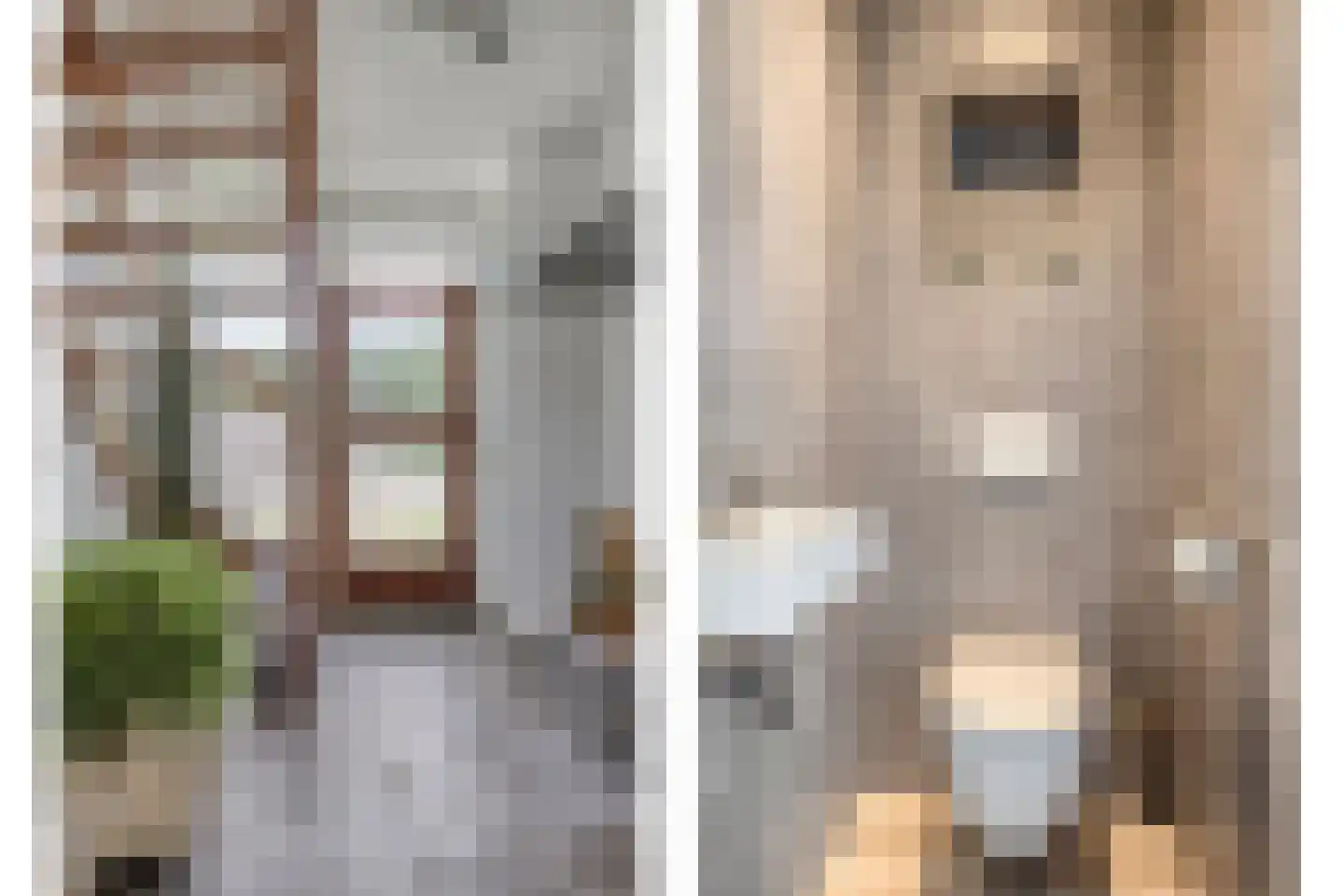 Holthuizerstraat 1 Haaksbergen thumbnail 9
