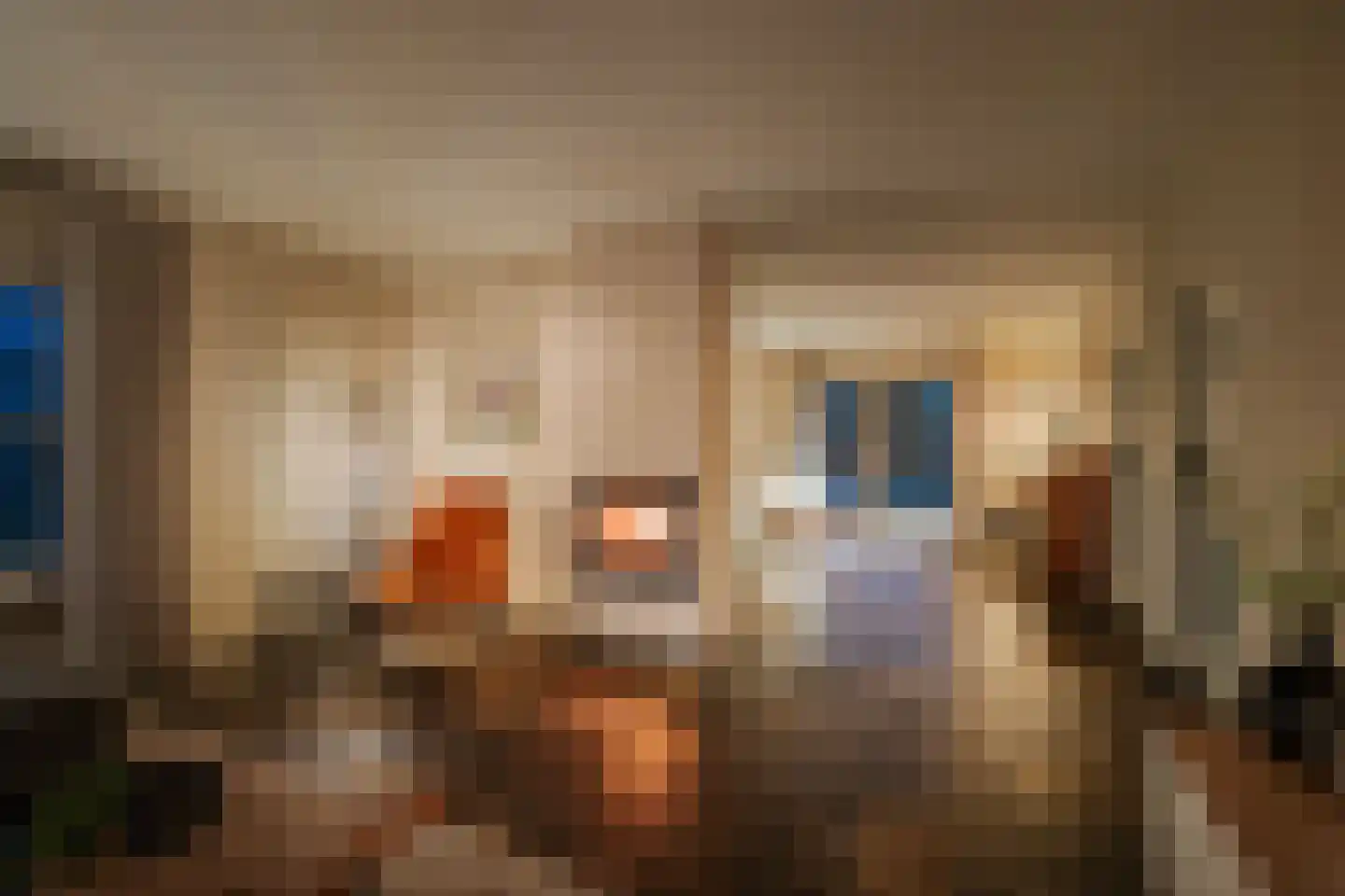 Holthuizerstraat 25 Twello thumbnail 15