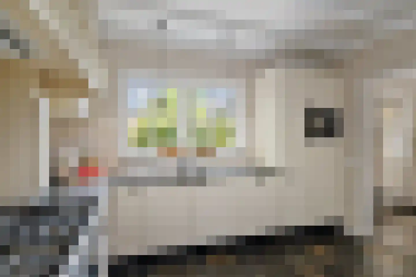 Holthuizerstraat 25 Twello thumbnail 18