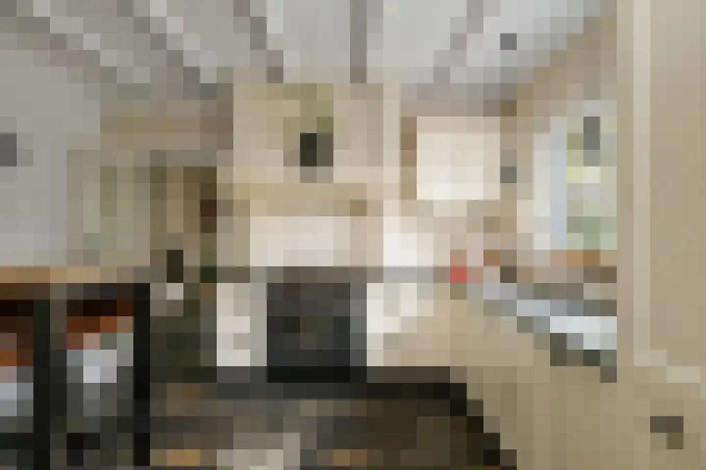 Holthuizerstraat 25 Twello thumbnail 19