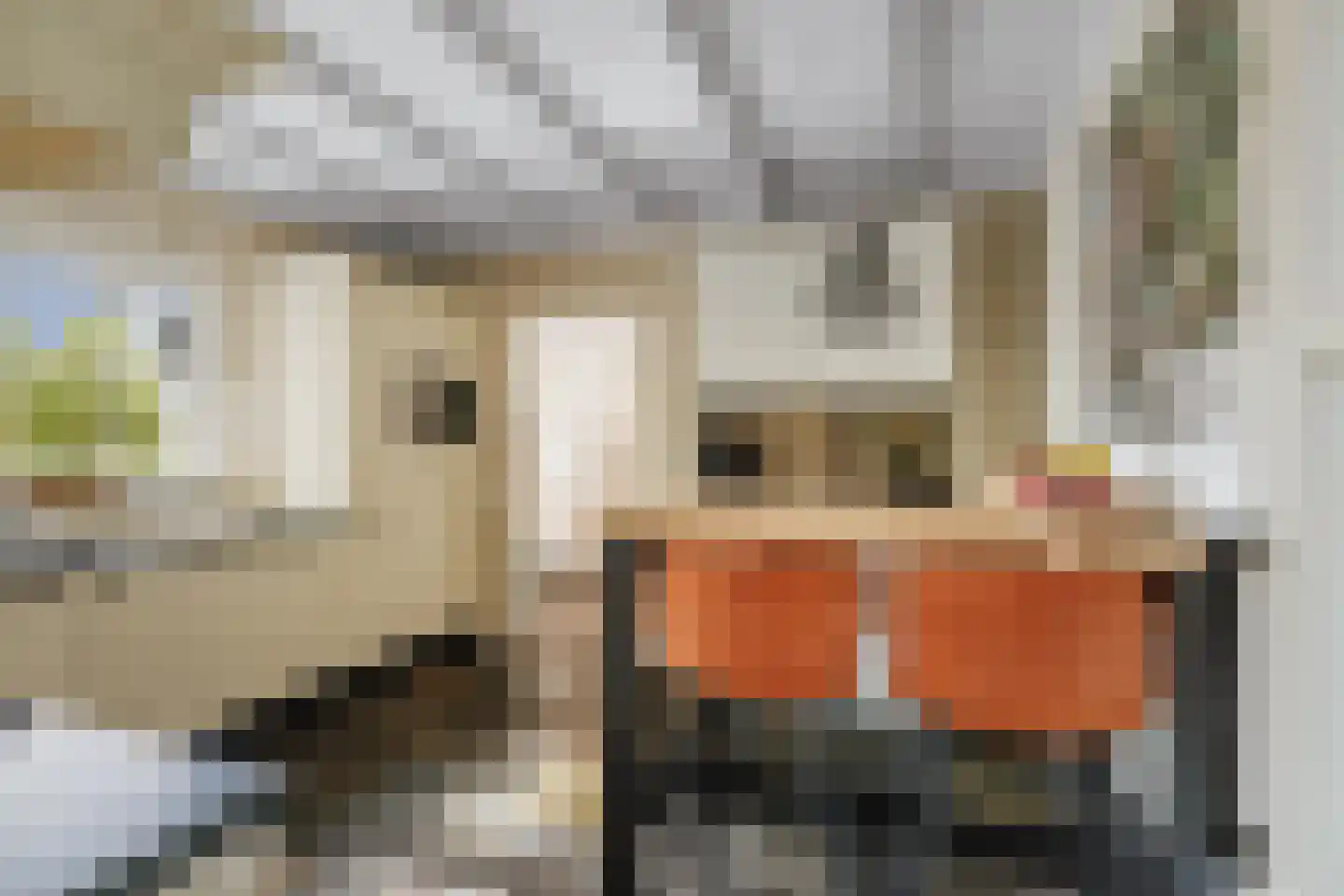 Holthuizerstraat 25 Twello thumbnail 20