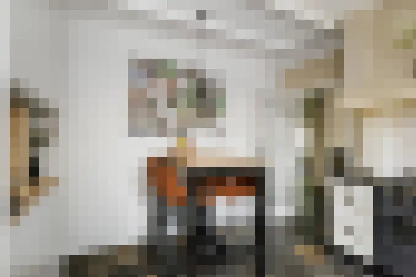 Holthuizerstraat 25 Twello thumbnail 21