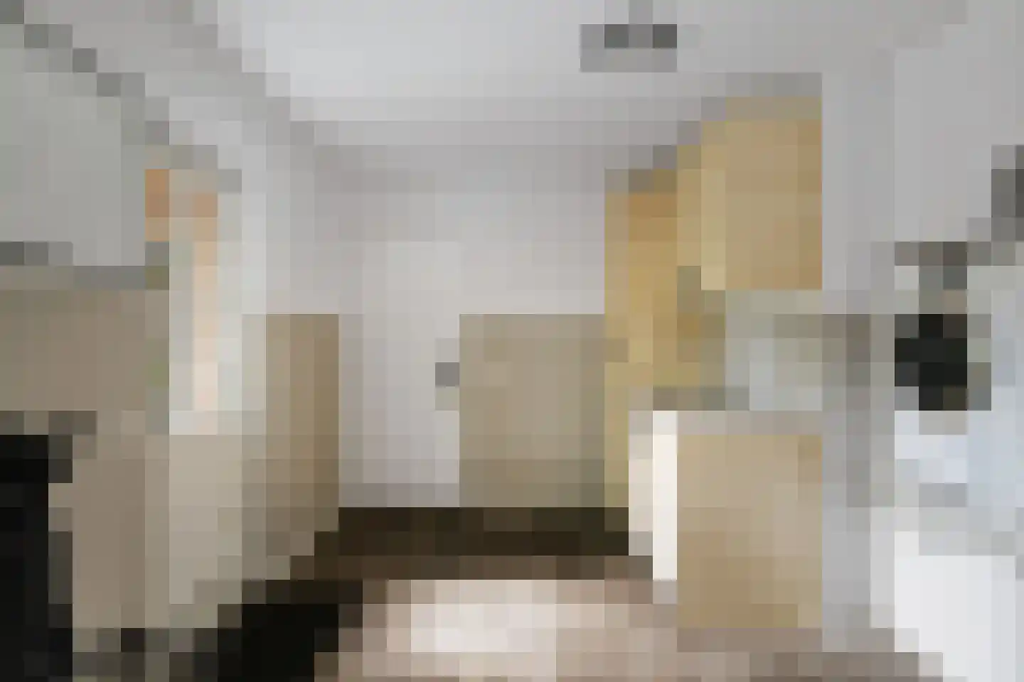 Holthuizerstraat 25 Twello thumbnail 22