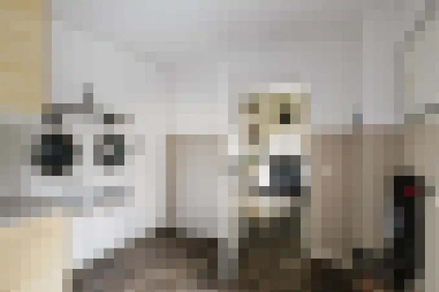 Holthuizerstraat 25 Twello thumbnail 23