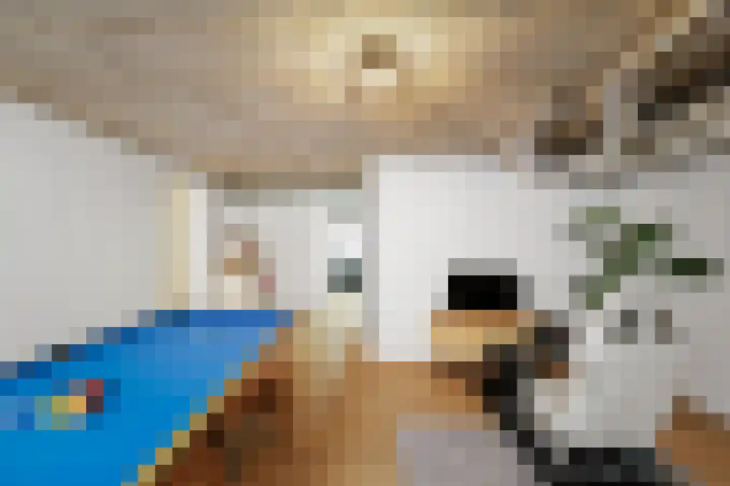 Holthuizerstraat 25 Twello thumbnail 29