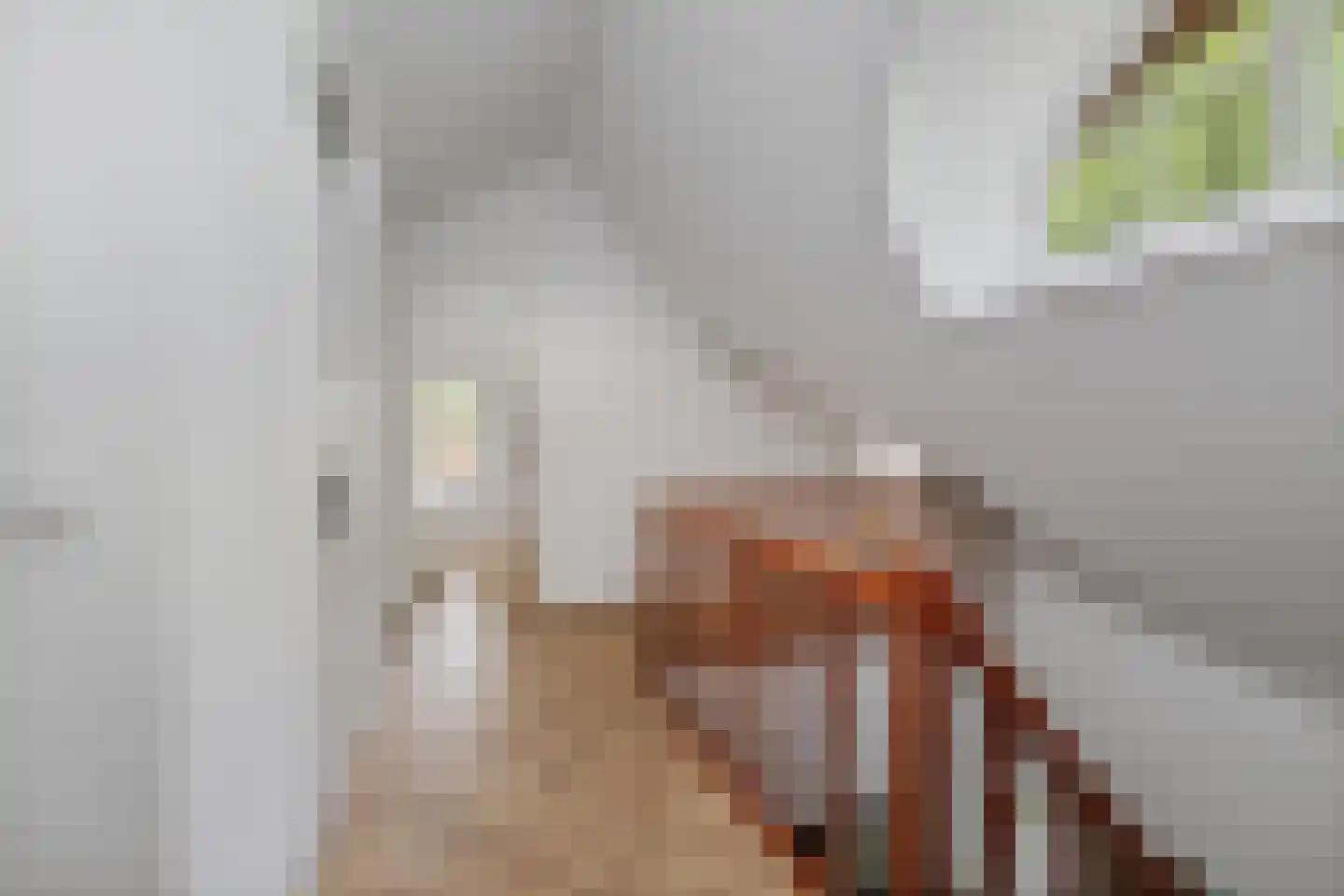 Holthuizerstraat 25 Twello thumbnail 31