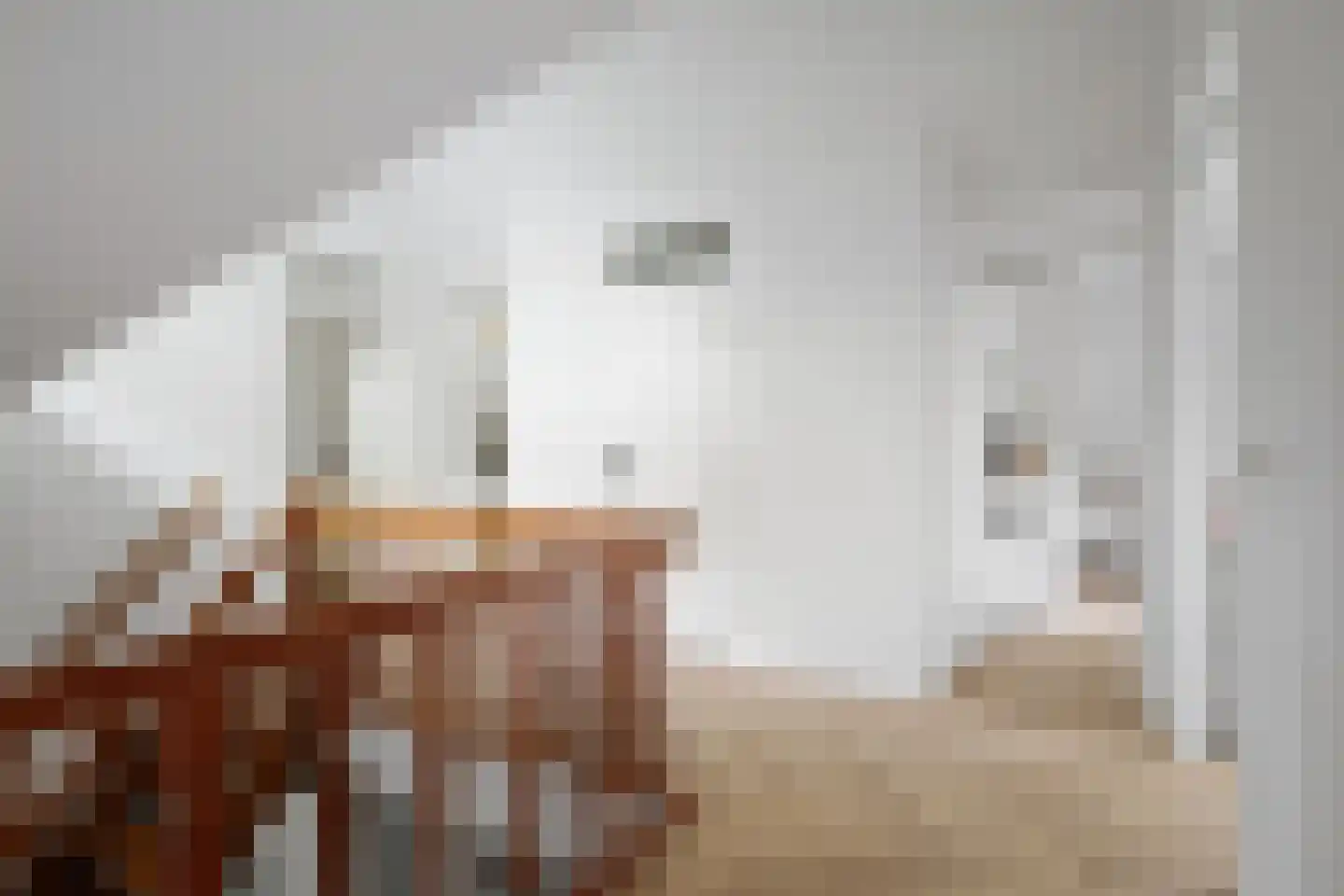 Holthuizerstraat 25 Twello thumbnail 32