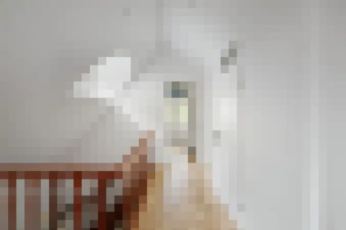 Holthuizerstraat 25 Twello thumbnail 33