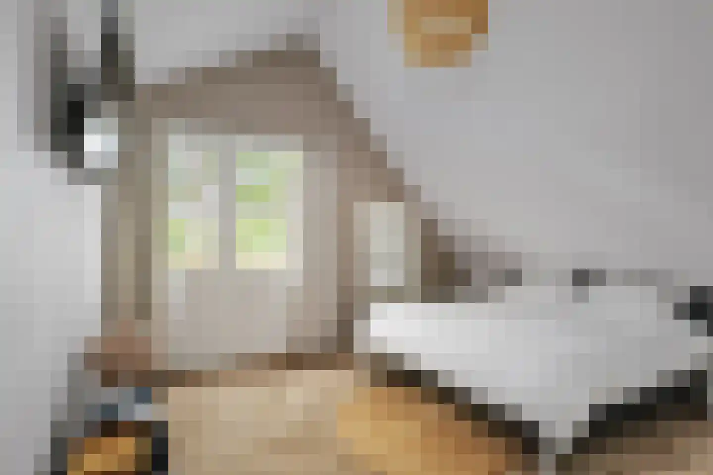 Holthuizerstraat 25 Twello thumbnail 35