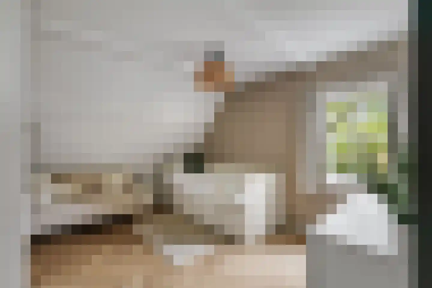 Holthuizerstraat 25 Twello thumbnail 40
