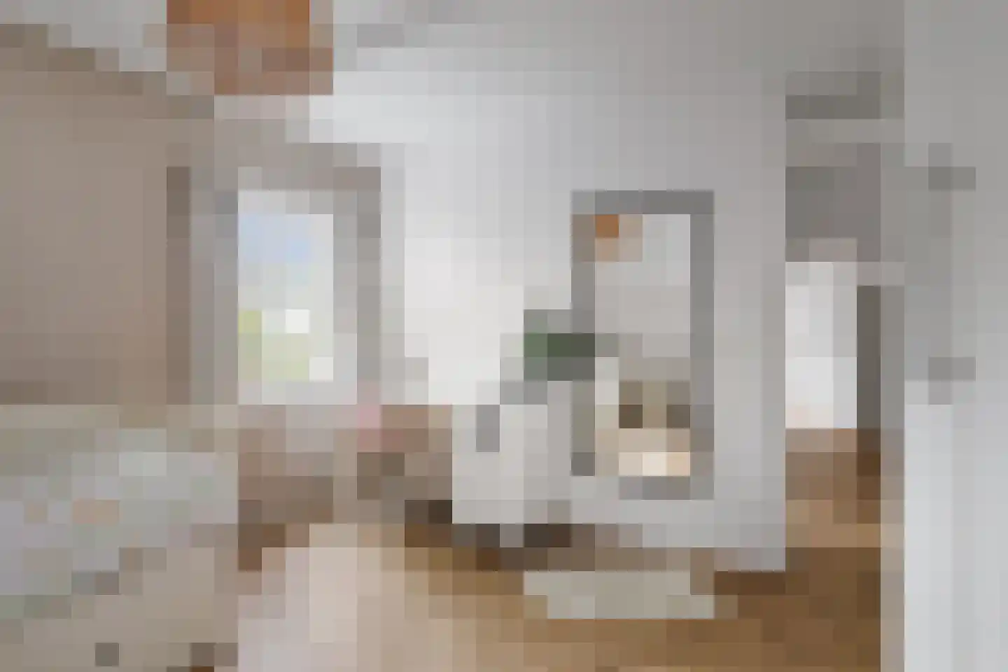 Holthuizerstraat 25 Twello thumbnail 42