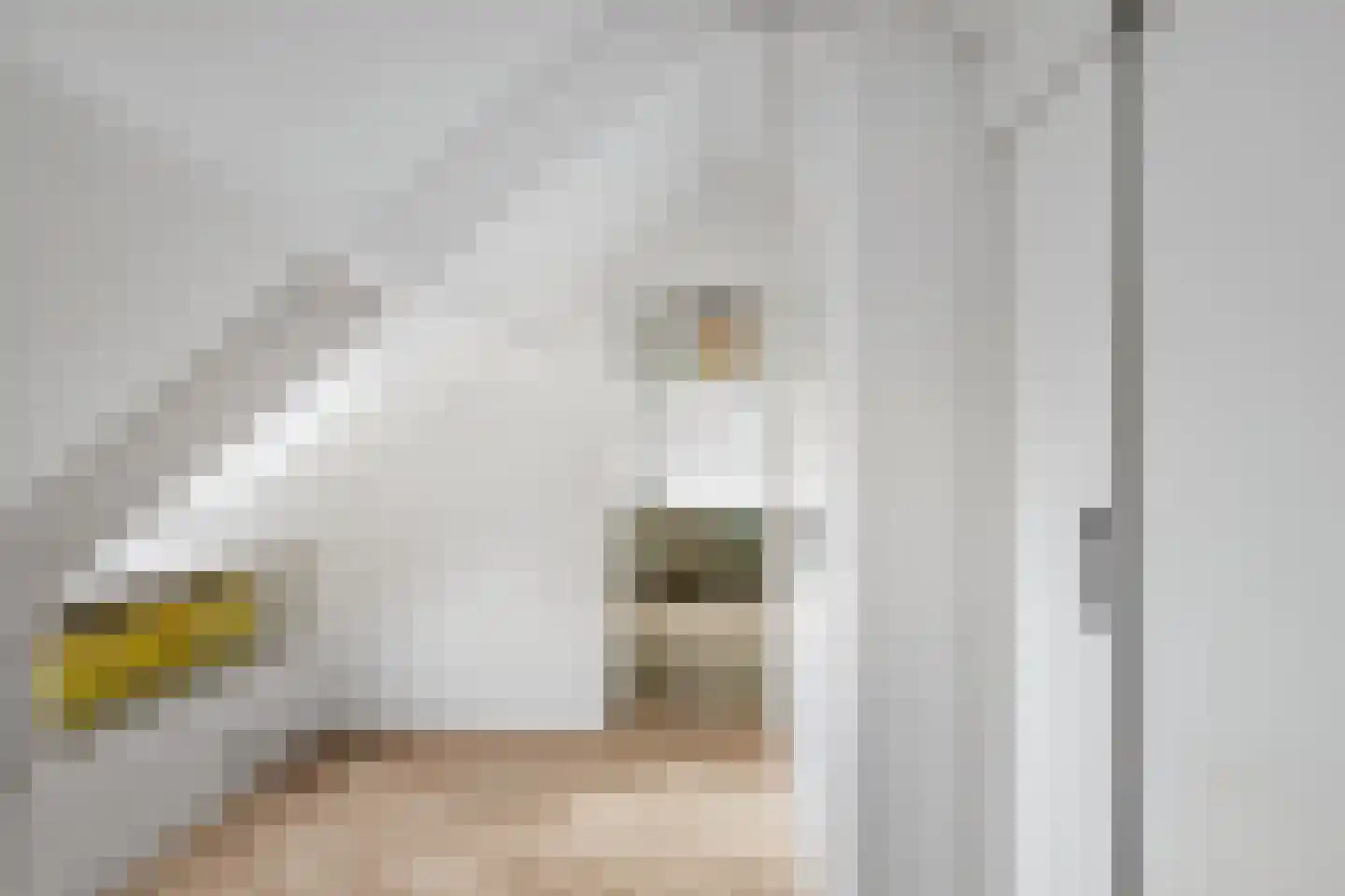 Holthuizerstraat 25 Twello thumbnail 43