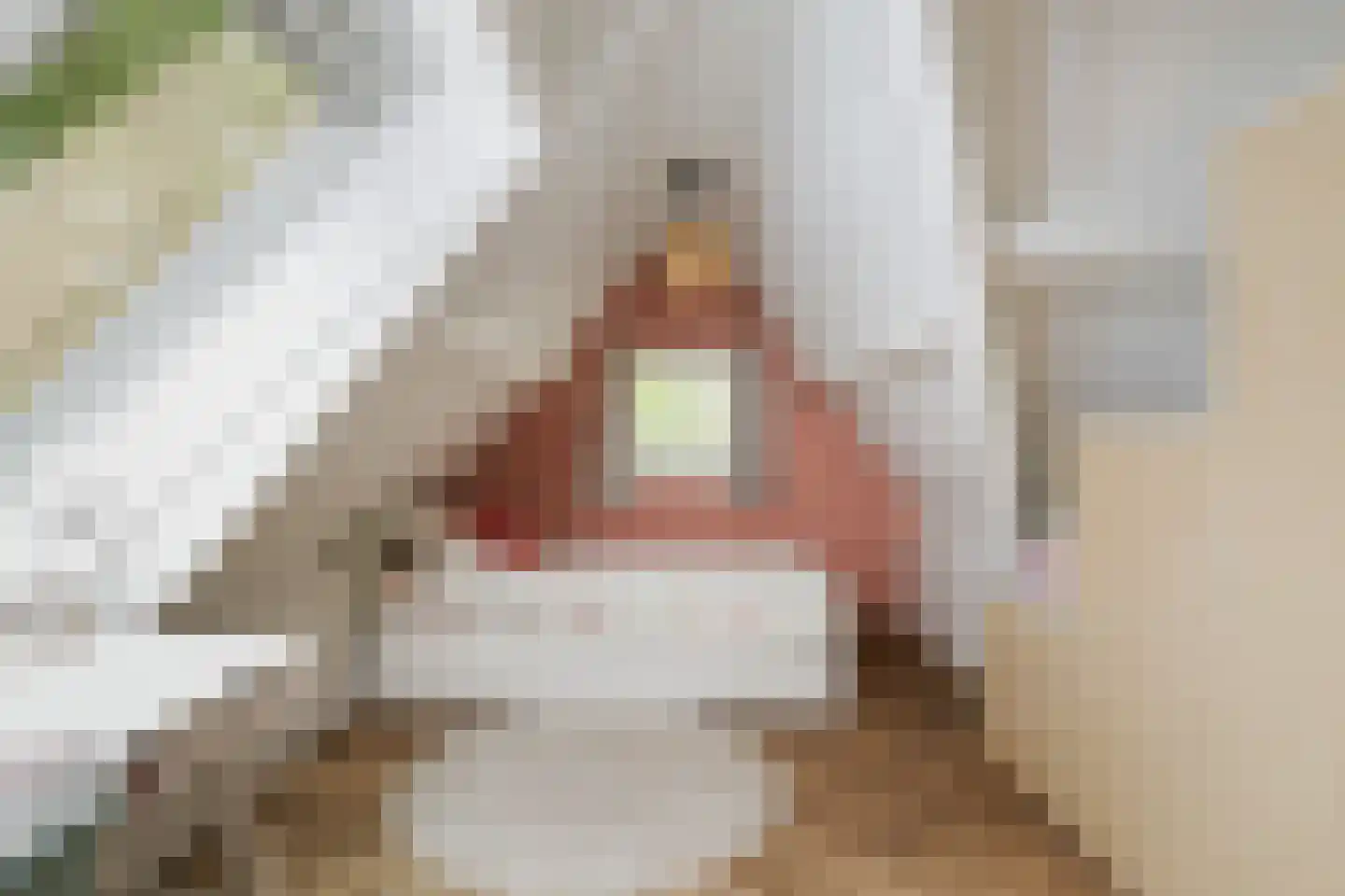 Holthuizerstraat 25 Twello thumbnail 46