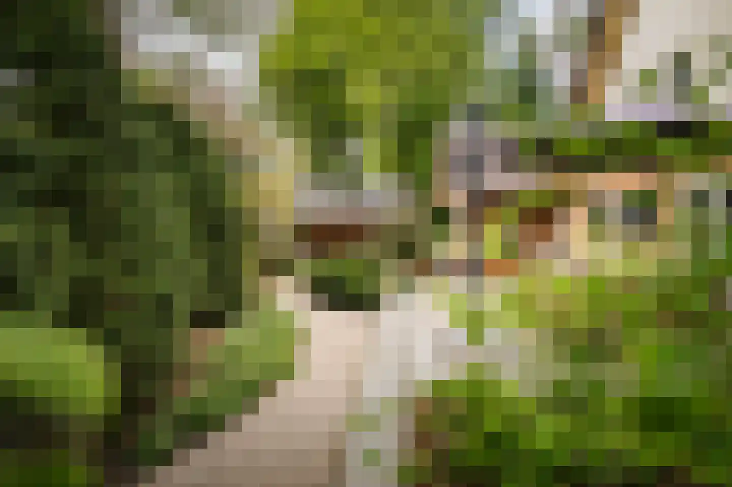 Holthuizerstraat 25 Twello thumbnail 56
