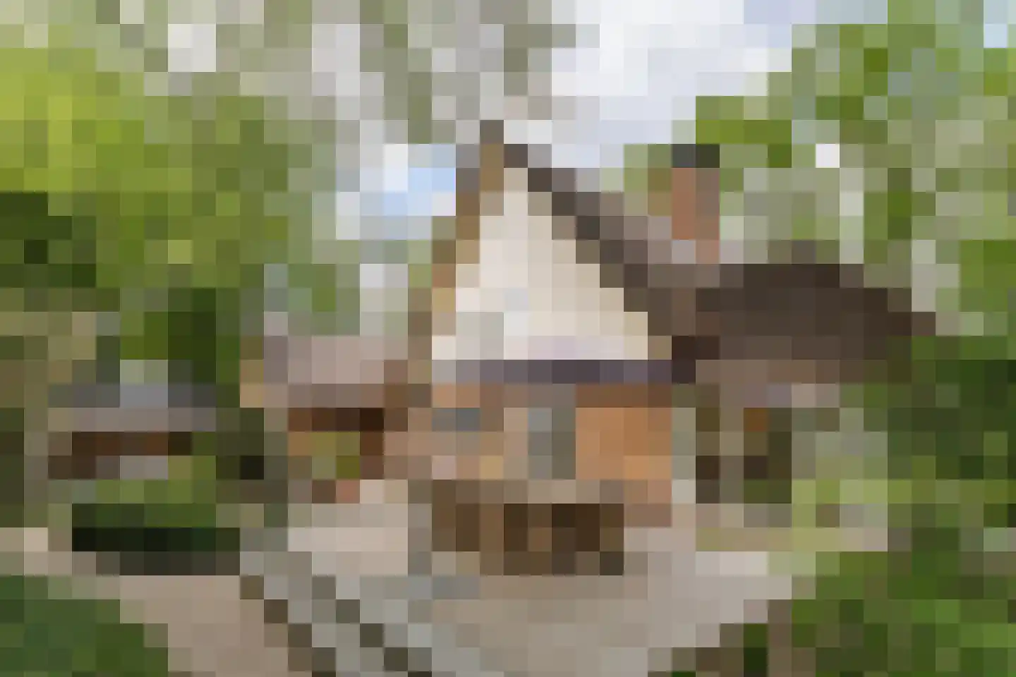 Holthuizerstraat 25 Twello thumbnail 57