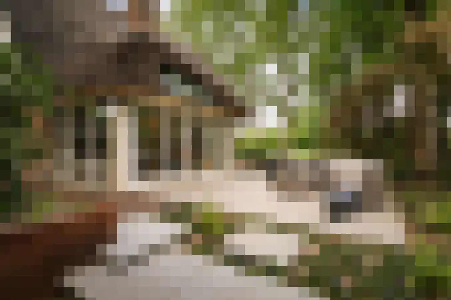 Holthuizerstraat 25 Twello thumbnail 58
