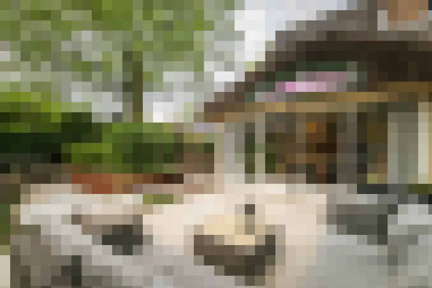 Holthuizerstraat 25 Twello thumbnail 59