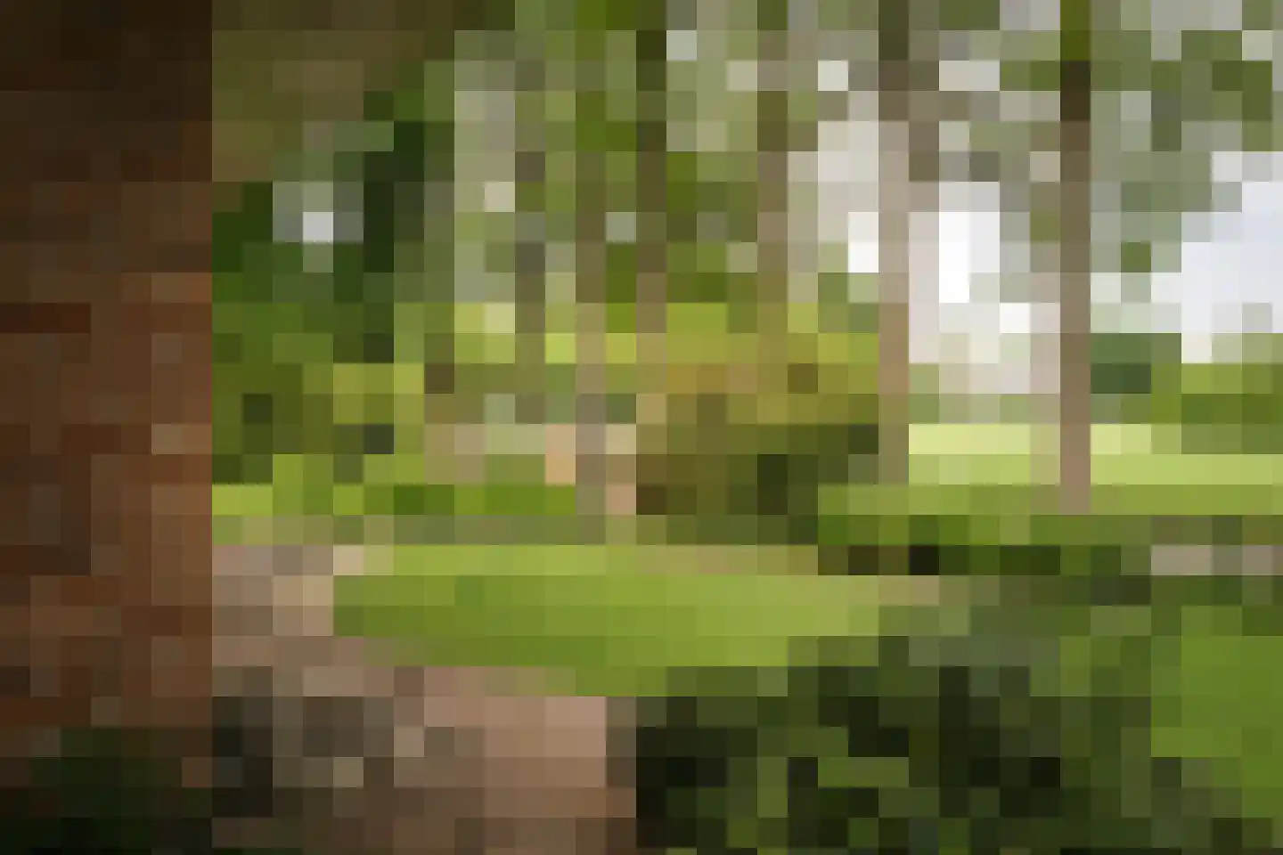 Holthuizerstraat 25 Twello thumbnail 62