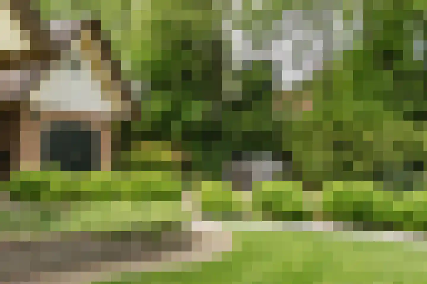 Holthuizerstraat 25 Twello thumbnail 66