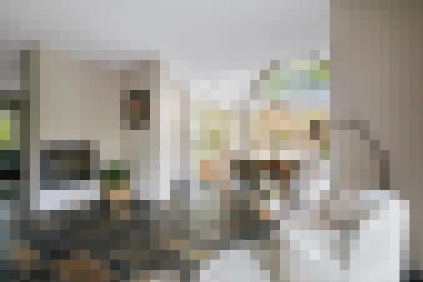 Holthuizerstraat 25 Twello thumbnail 7