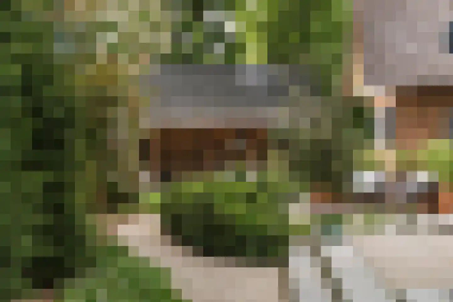 Holthuizerstraat 25 Twello thumbnail 73