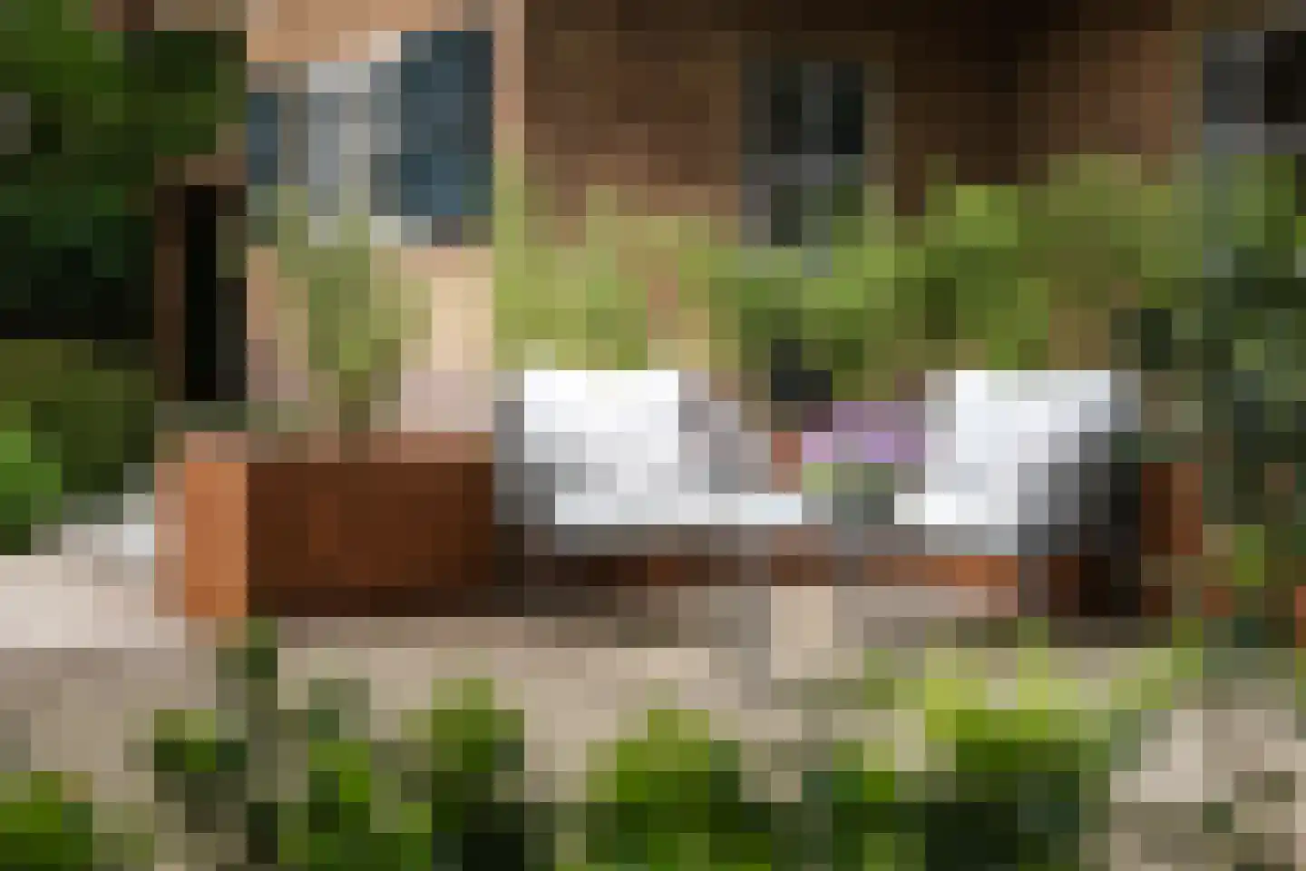 Holthuizerstraat 25 Twello thumbnail 76