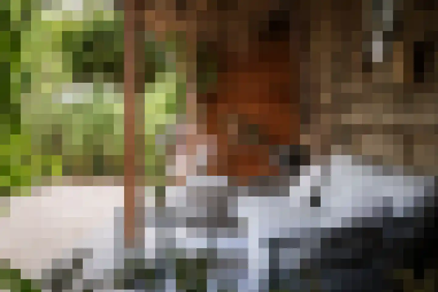Holthuizerstraat 25 Twello thumbnail 78