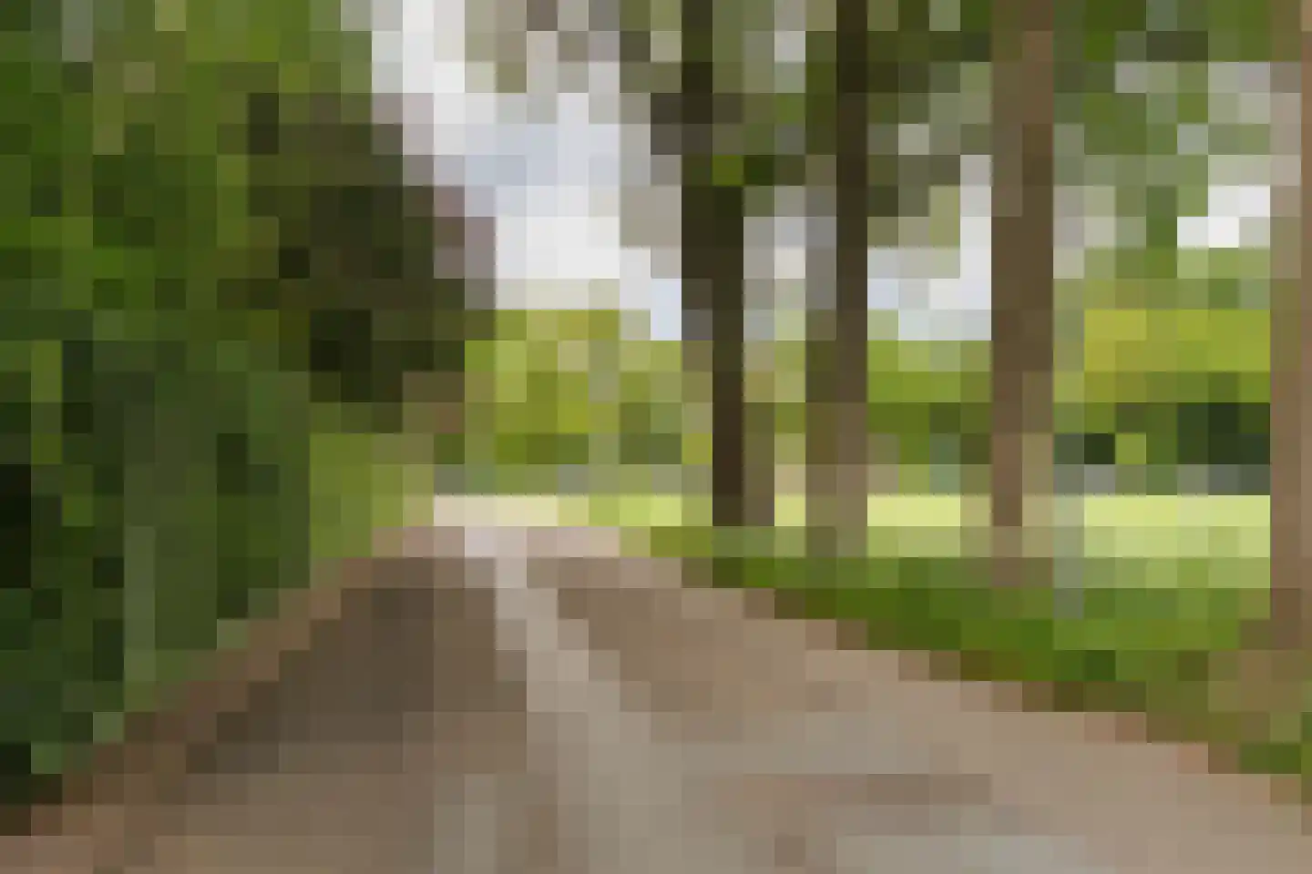 Holthuizerstraat 25 Twello thumbnail 90
