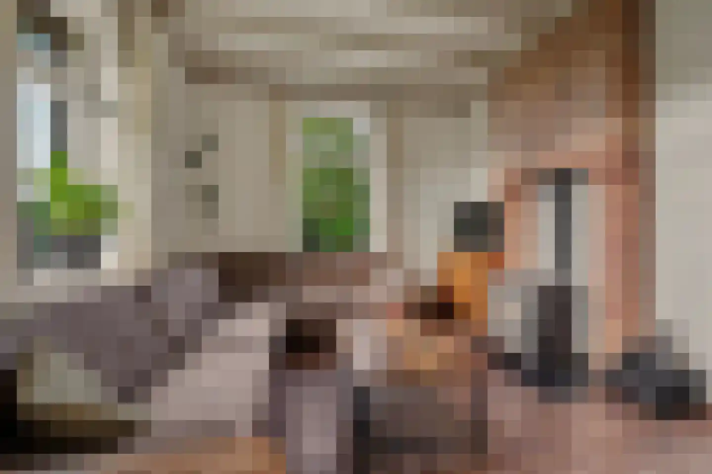 Holthuizerstraat 5 Didam thumbnail 11