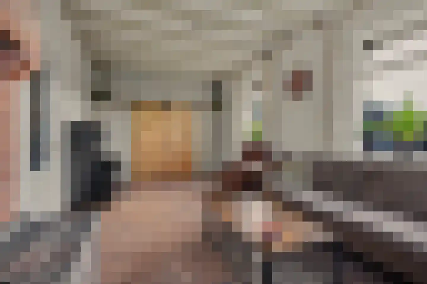 Holthuizerstraat 5 Didam thumbnail 12