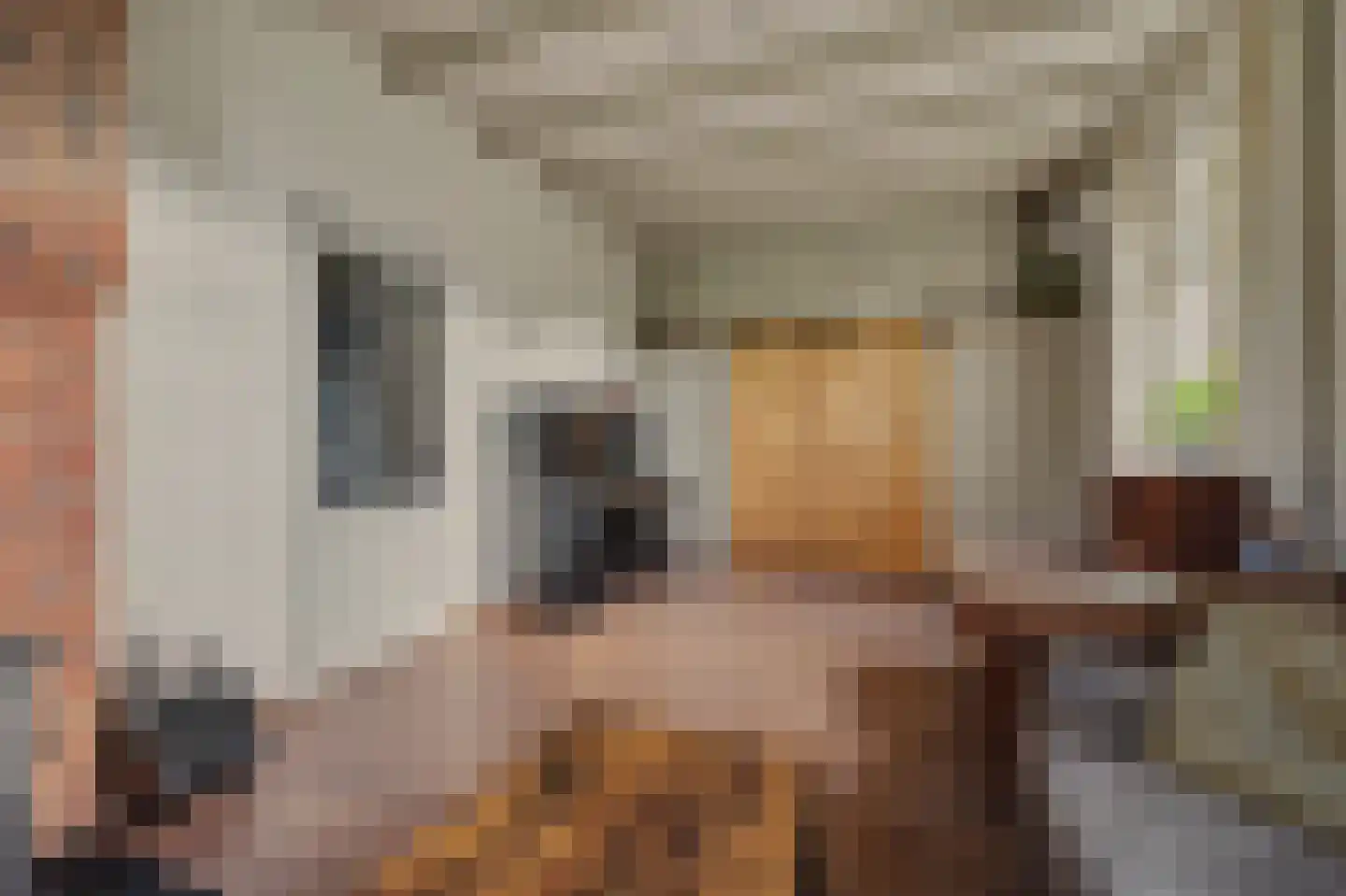 Holthuizerstraat 5 Didam thumbnail 13