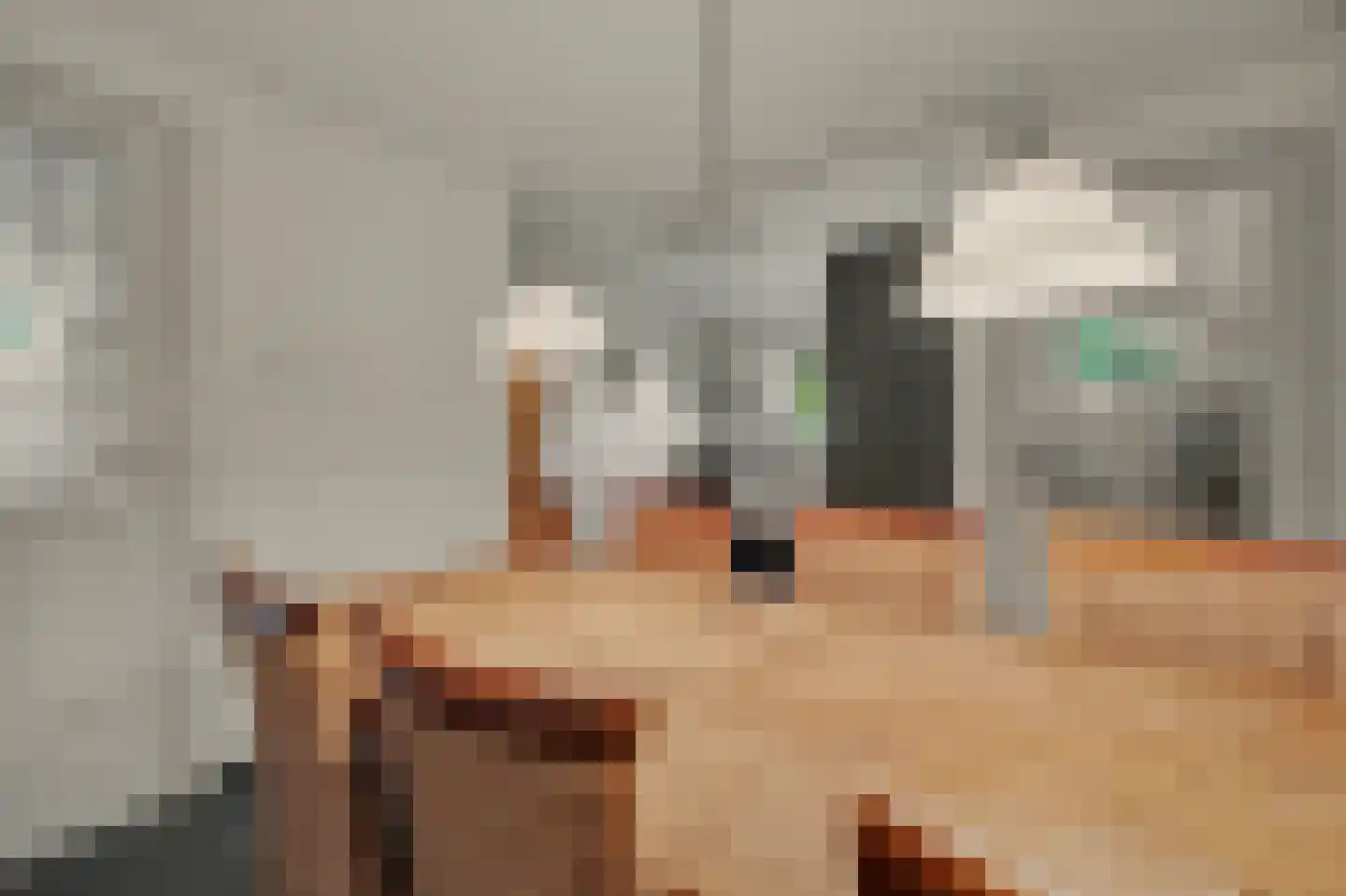 Holthuizerstraat 5 Didam thumbnail 16