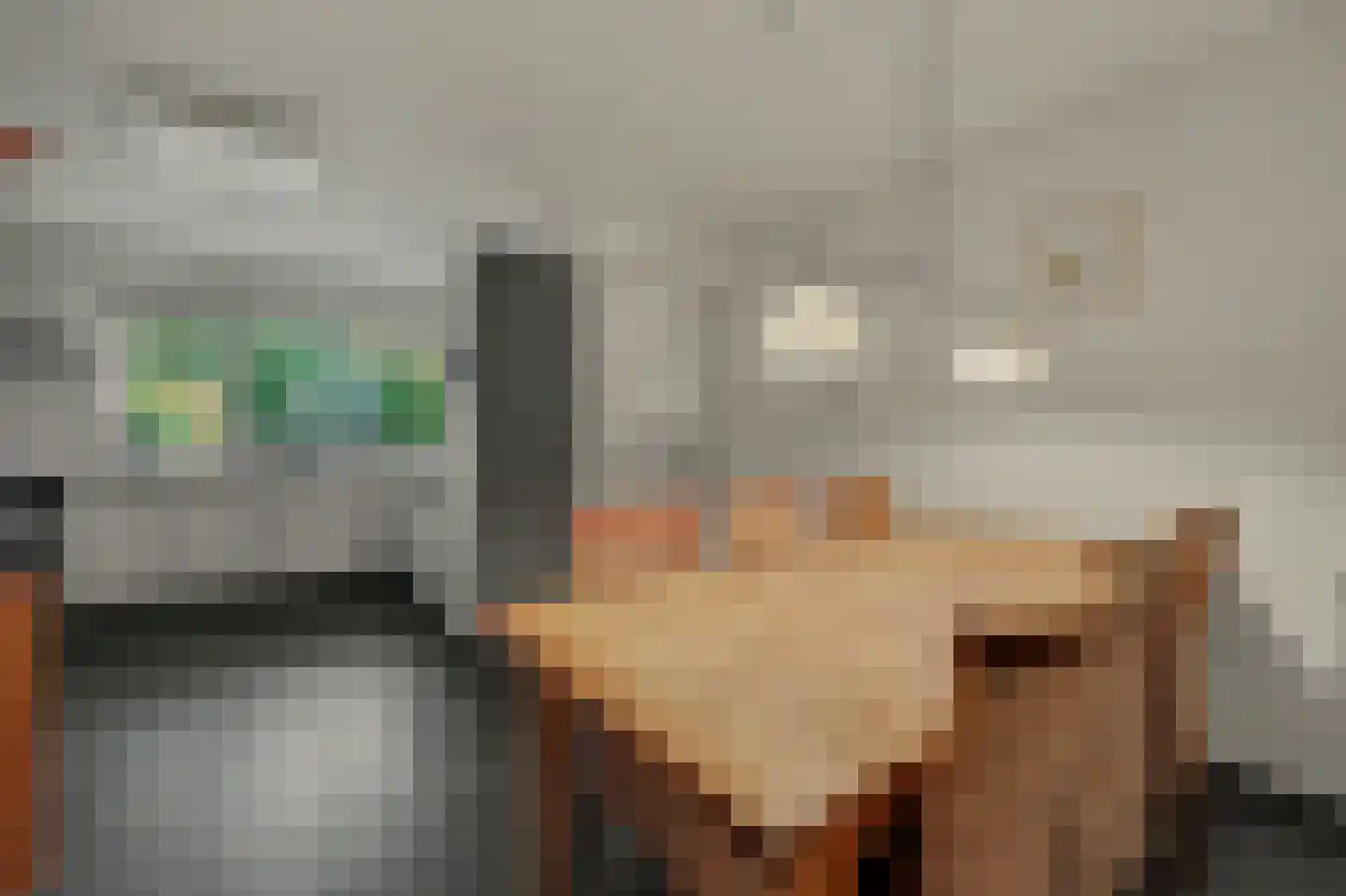 Holthuizerstraat 5 Didam thumbnail 17