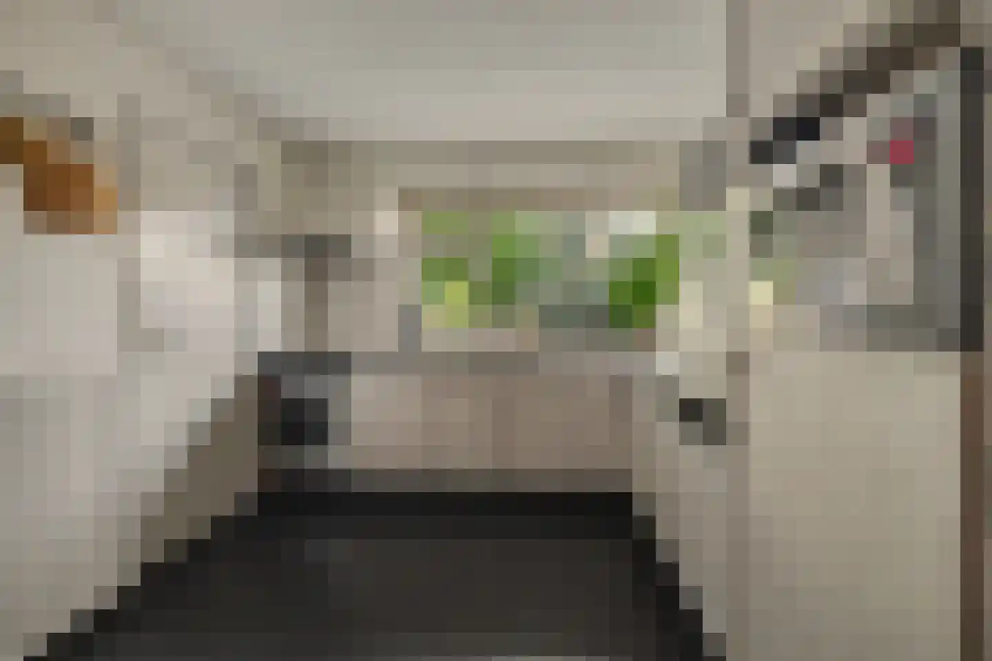 Holthuizerstraat 5 Didam thumbnail 18