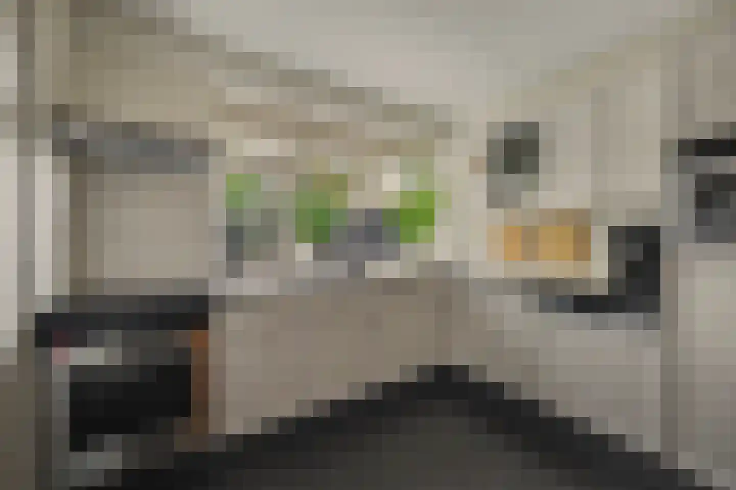 Holthuizerstraat 5 Didam thumbnail 19