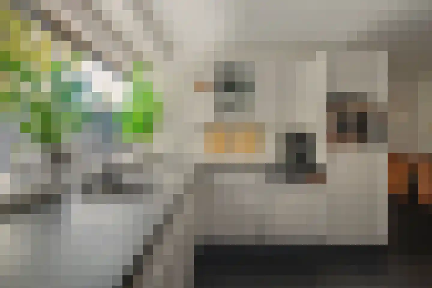 Holthuizerstraat 5 Didam thumbnail 20