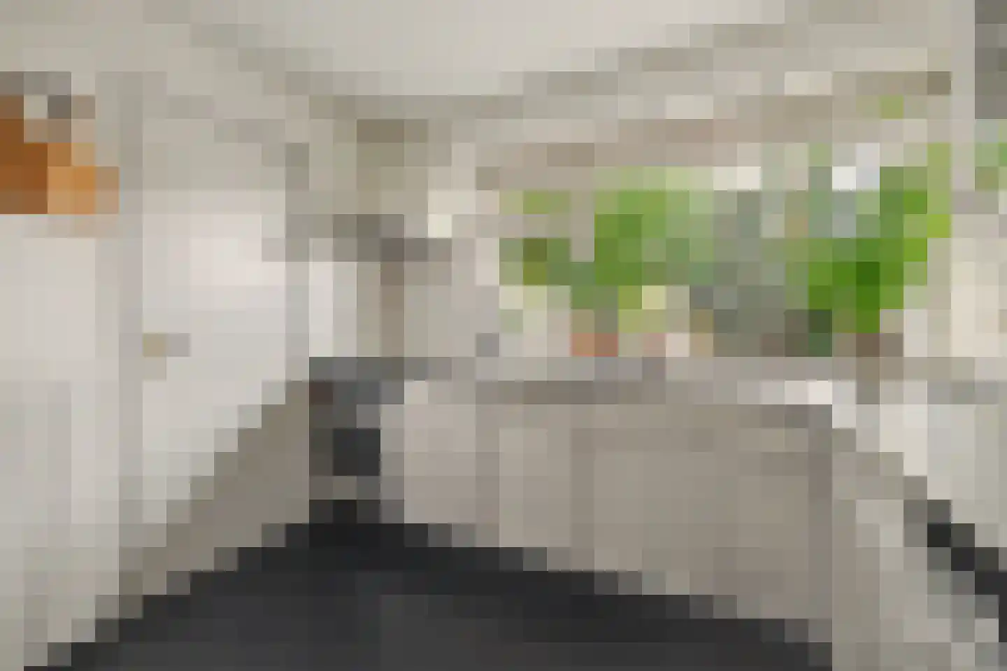 Holthuizerstraat 5 Didam thumbnail 21