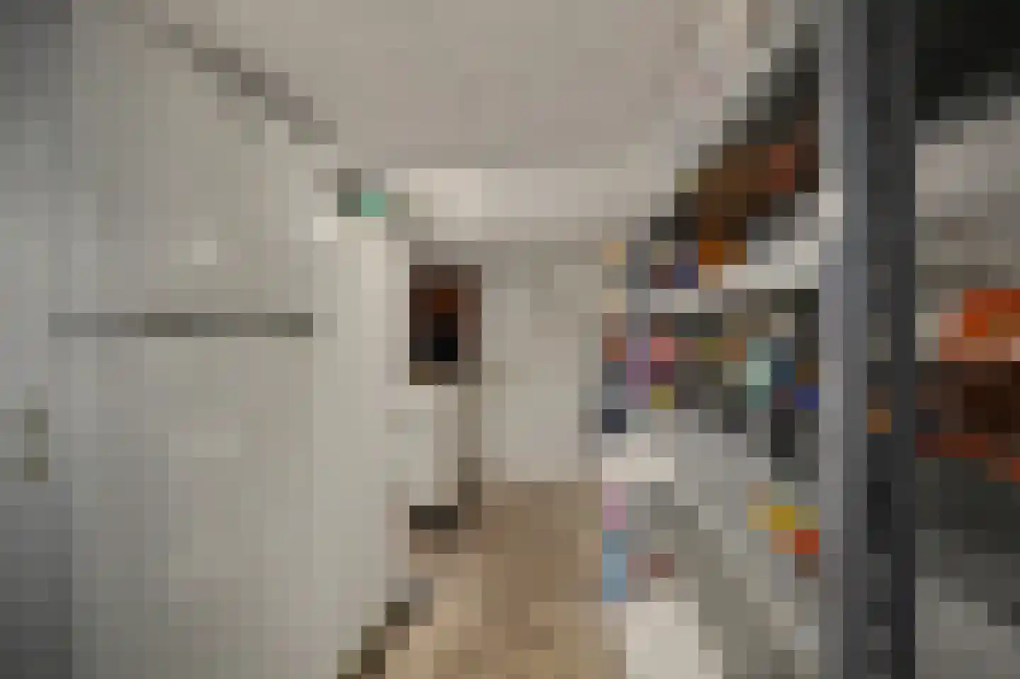 Holthuizerstraat 5 Didam thumbnail 22