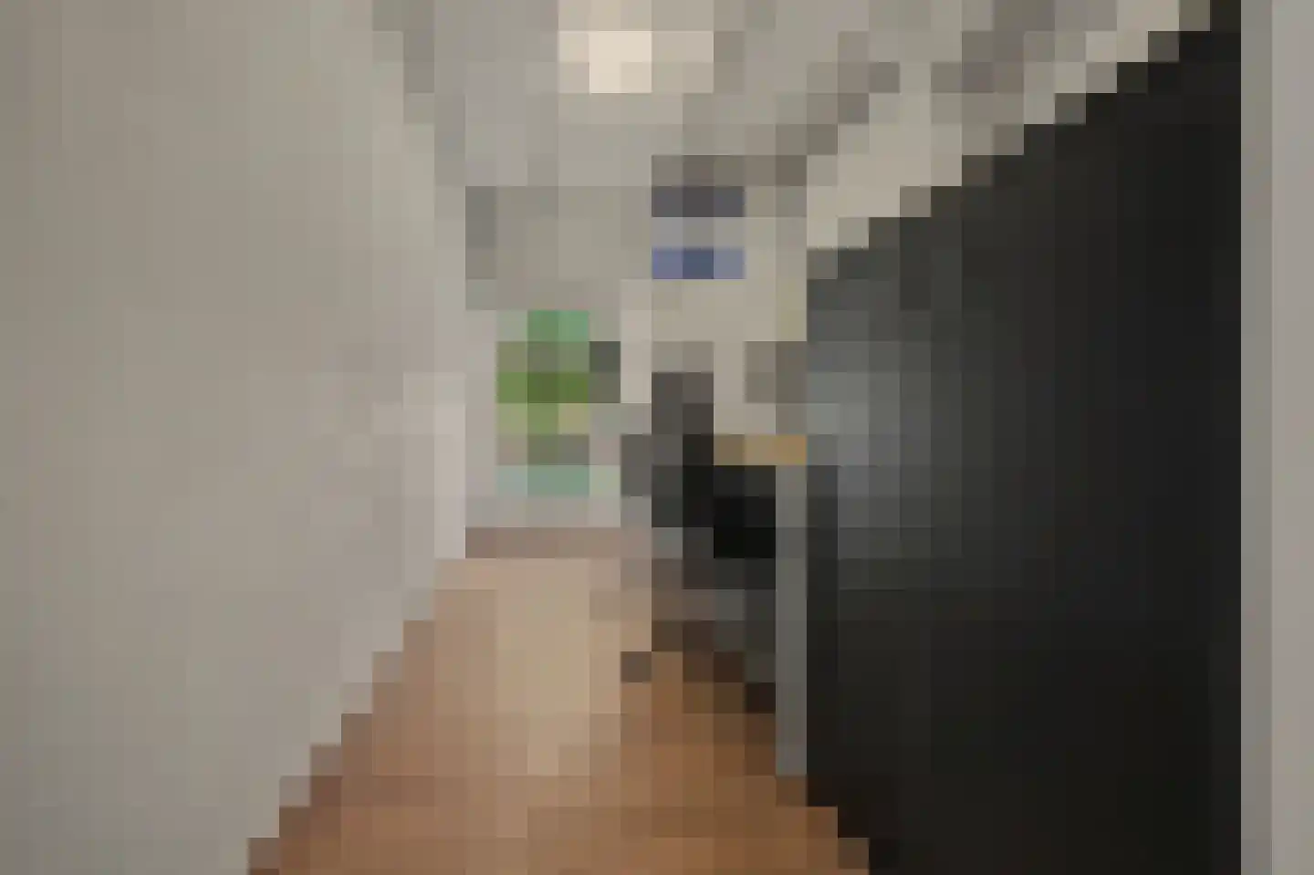 Holthuizerstraat 5 Didam thumbnail 27