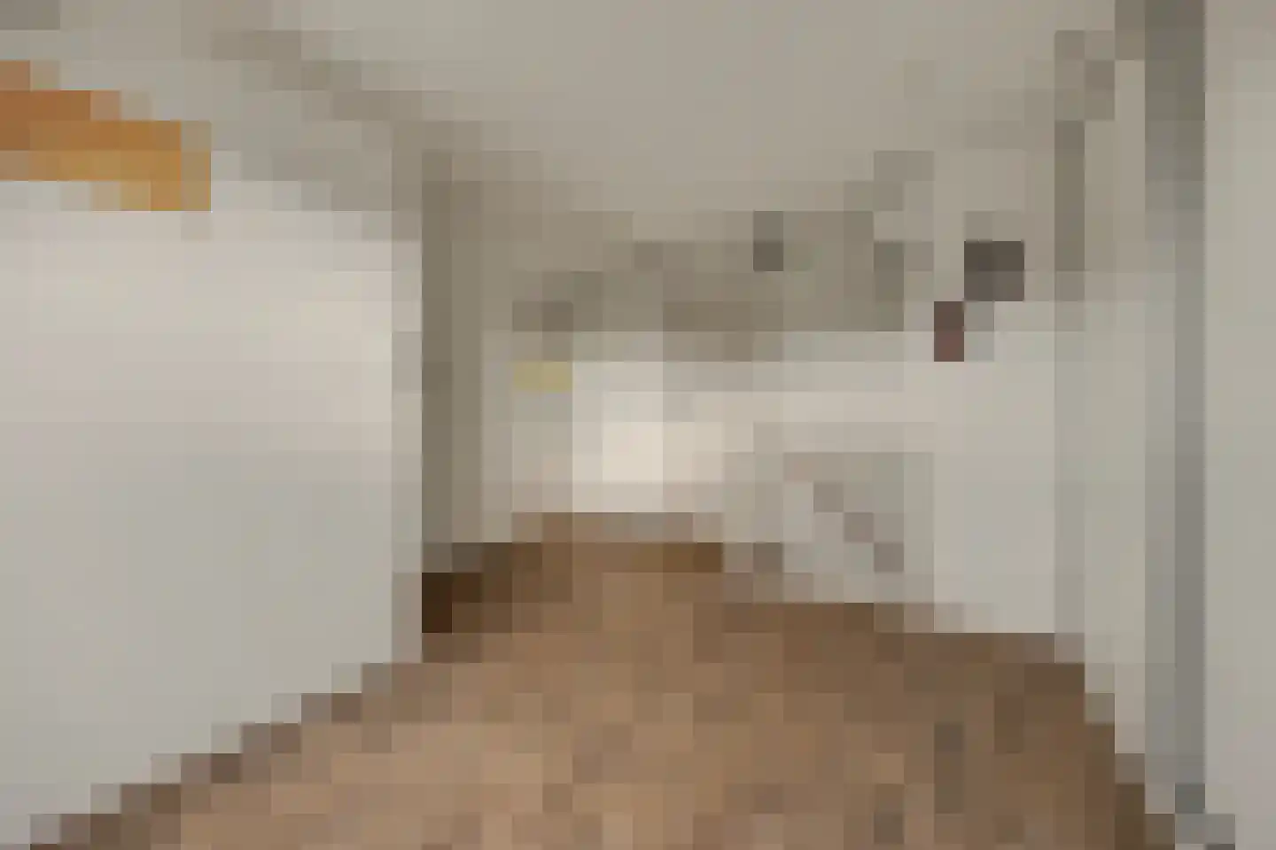 Holthuizerstraat 5 Didam thumbnail 34