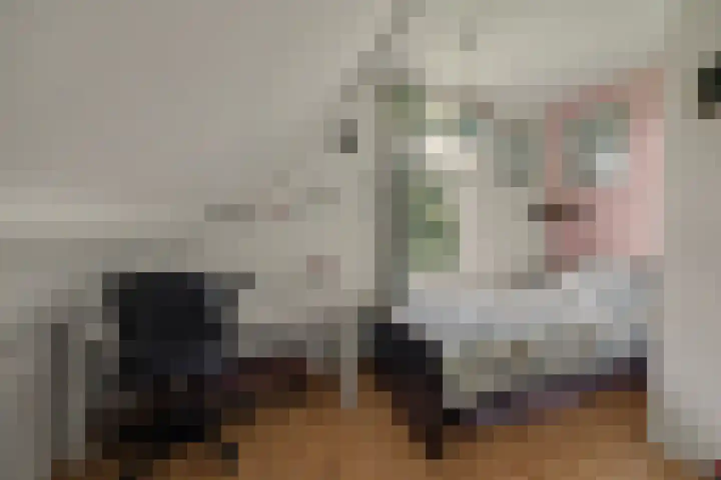 Holthuizerstraat 5 Didam thumbnail 35
