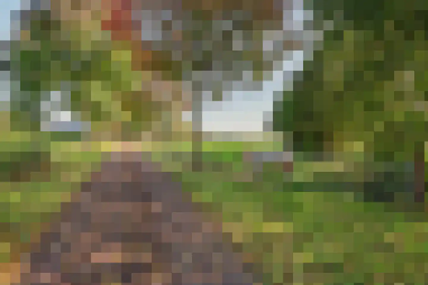 Holthuizerstraat 5 Didam thumbnail 4